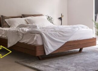 The Four Feng Shui Spots in Your Home That Need a Good Clean to Ward Off Illness and Invite Career Success