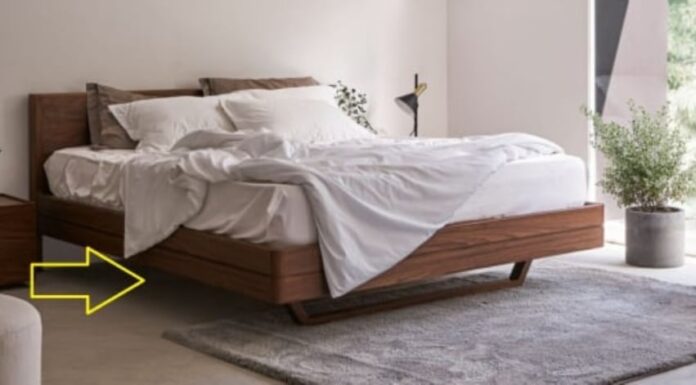 The Four Feng Shui Spots in Your Home That Need a Good Clean to Ward Off Illness and Invite Career Success