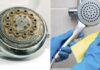The Ultimate Guide to Cleaning Your Shower Head: A Simple Soak for a Sparkling Finish.