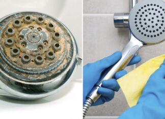 The Ultimate Guide to Cleaning Your Shower Head: A Simple Soak for a Sparkling Finish.