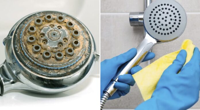 The Ultimate Guide to Cleaning Your Shower Head: A Simple Soak for a Sparkling Finish.