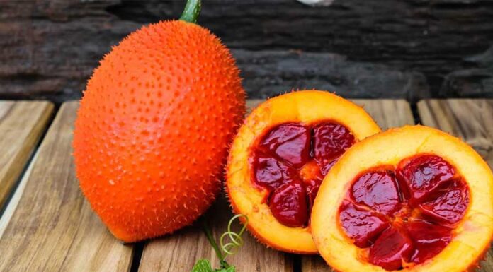 The Ultimate Vitamin C Boost: Discover the Vietnamese Fruit that’s 40 Times Richer than Oranges and Taking Europe by Storm