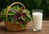 “The Ultimate Calcium-Rich Vegetable: Nature’s Secret to Lowering Cholesterol and Preventing Cancer”