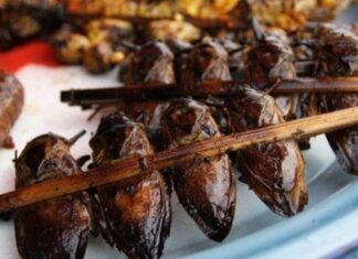 The Tasty Treat of Ninh Binh: A Delicious Delicacy that Looks Like a Cockroach