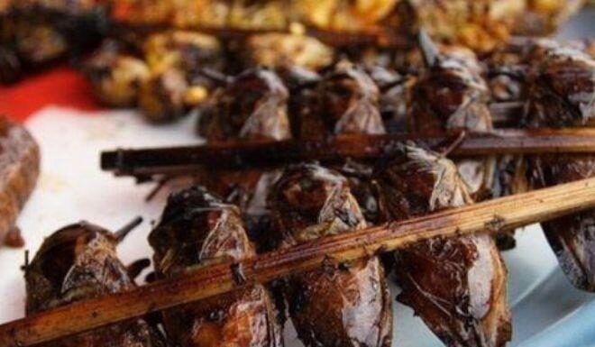 The Tasty Treat of Ninh Binh: A Delicious Delicacy that Looks Like a Cockroach