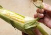 The Ultimate Guide to Corn on the Cob: Unlocking Sweetness Without Sugar