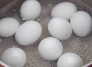 “The Secret Ingredient to Make Boiled Balut Eggs Taste Better”