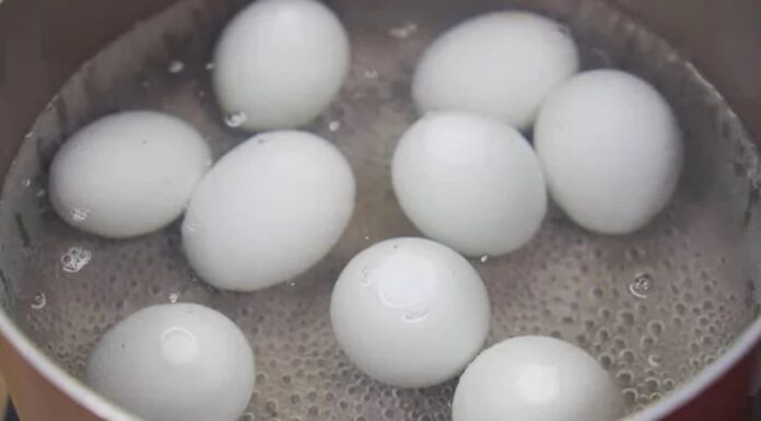 “The Secret Ingredient to Make Boiled Balut Eggs Taste Better”