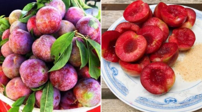 Eat Apricots? Remember These 4 Tips to Avoid a Pimple Breakout.