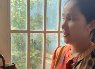 “TV Host Cat Tuong Bids Farewell to Her Home of 8 Years, Harvesting One Last Time in Her Lush Garden Before Moving On”