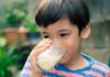 A Mother’s Guide to Choosing the Right Immune-Boosting Milk for Her Child: Deciphering the Label with Lactoferrin, IgG, HMO, and Vitamins.