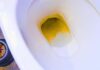 “The Ultimate Guide to a Sparkling Toilet: A Natural Cleaning Hack to Remove Limescale and Stains”