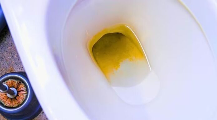 “The Ultimate Guide to a Sparkling Toilet: A Natural Cleaning Hack to Remove Limescale and Stains”