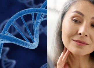 The Ultimate Scientifically Proven Anti-Aging Diet