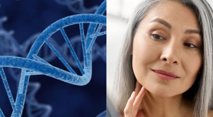 The Ultimate Scientifically Proven Anti-Aging Diet