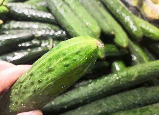 Don’t Be Tempted by Cheap Cucumbers If You Spot Any of These 5 Signs