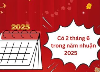 The Terrifying Year of the Double Snake: Why the Leap Sixth Month Matters and 8 Ways to Prepare for Prosperity.