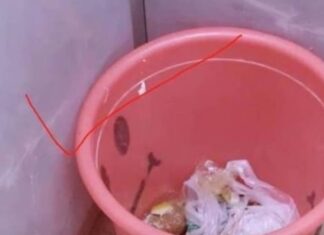 3 Places to Avoid When Placing Your Trash Bin to Escape the Poverty Cycle