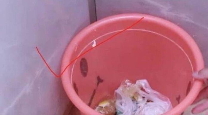 3 Places to Avoid When Placing Your Trash Bin to Escape the Poverty Cycle