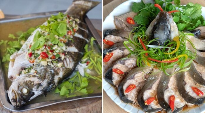 “Nutrient-rich Fish: But 5 Groups Should Avoid It to Prevent Health Risks”