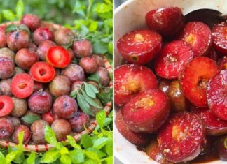 A Tasty Treat: Succulent Ripened Plums, But Beware – 6 Groups Should Steer Clear!
