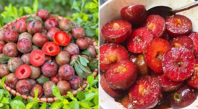 “Delicious Ripe Plums: A Tasty Treat But A Strict No-No For These 6 Groups”