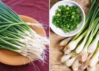 “4 Reasons Why You Should Avoid Green Onions”
