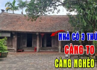 The 3 Home Features That Drain Your Fortune: Can You Guess the Second One?