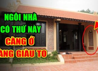 Place These 3 Things in Your Home: Attract Wealth and Change Your Destiny