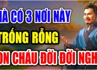 The 3 Things Cluttering Your Home and Your Life: What Are They and Why Are They Holding You Back?