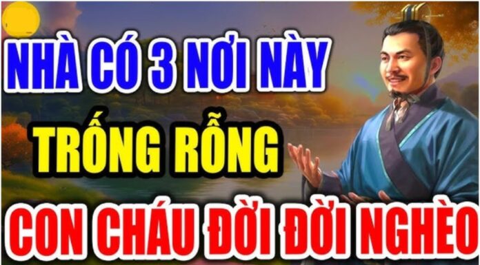 The 3 Things Cluttering Your Home and Your Life: What Are They and Why Are They Holding You Back?