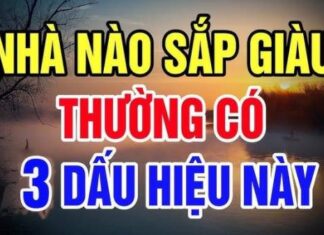 Unlock the Door to Wealth: 3 Things in Your Home That Attract Prosperity