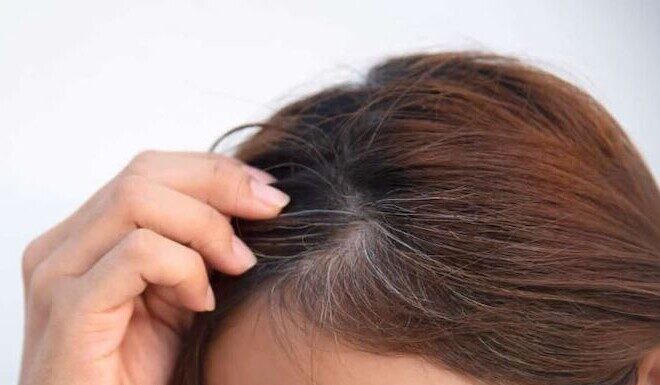 “5 Tips to Embrace Your Silver Strands: A Guide to Luscious, Healthy Hair”