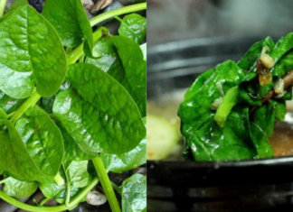 Are You Part of This Group That Should Avoid Eating Water Spinach?