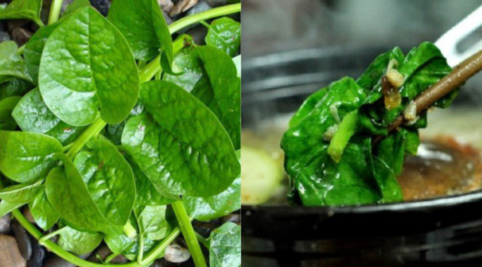 Are You Part of This Group That Should Avoid Eating Water Spinach?