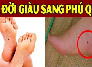 The Lucky Money Moles: Uncover the Fortune Within, Keep Them, Don’t Remove Them!