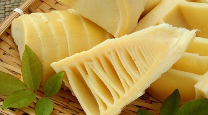 The Fiber “Queen” of Vietnamese Meals: A Digestive Health Booster, Cancer-Fighting Delicacy, with a Tomato-Meat Sauce that’s Simply Addictive