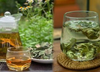 The Magic Brew: A Daily Cup to Lower Cholesterol.