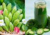 “6 Amazing Health Benefits of Drinking Bitter Gourd Juice”
