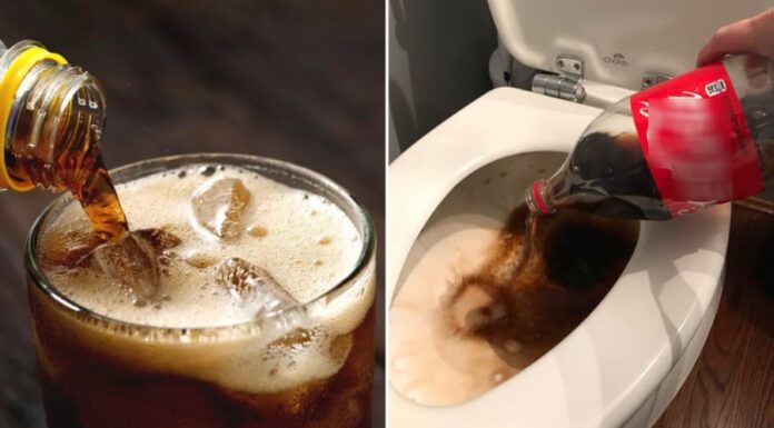 7 Benefits of Keeping Unfinished Soda: A Smart Way to Reduce Waste