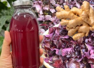 The Magic Brew: Unveiling the Surprising Benefits of Drinking Basil and Ginger Infused Water