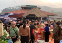The Ultimate Guide to Laos Cai’s Quirkiest 4,000 sqm Sunday Market: A Treasure Trove of Unique Delicacies