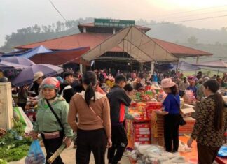 The Ultimate Guide to Laos Cai’s Quirkiest 4,000 sqm Sunday Market: A Treasure Trove of Unique Delicacies