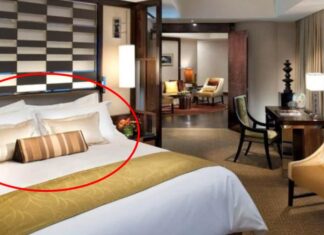 Why Do Hotel Rooms Have Four Pillows on One Bed? The Little-Known Truth.