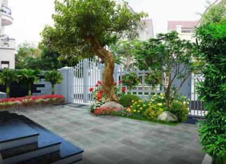 Ancestral Secrets: 5 Signs Your Home Has a Hidden Feng Shui Treasure, Leading to Extreme Wealth for Generations