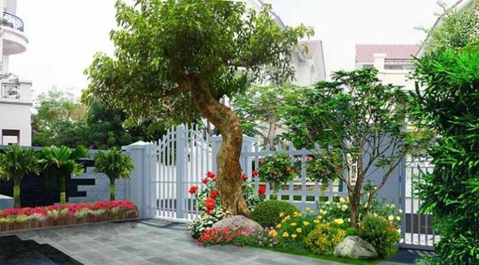 Ancestral Secrets: 5 Signs Your Home Has a Hidden Feng Shui Treasure, Leading to Extreme Wealth for Generations