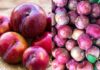 The Amazing Health Benefits of Plums – A Superfruit You Should Know About