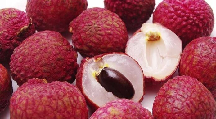 Preserving Plums, the Natural Way: Keep Them Fresh for a Month, Without Chemicals