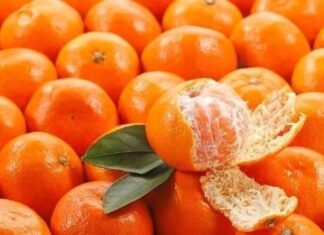 The Ultimate Guide to Lung Health: 4 Fruits to Cleanse, Heal and Breathe Easy