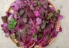 Iron-Rich Amaranth: A Blood-Boosting Vegetable, But A No-Go For These 4 Groups